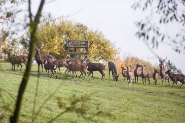 Zveropark - tip na výlet Villa Žakýl