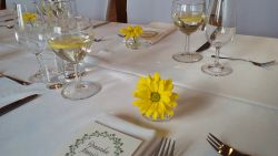 Spoločenská miestnosť Villa Žakýl - svadby, rodinné oslavy