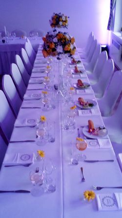 Spoločenská miestnosť Villa Žakýl - rodinné oslavy pre 50 ľudí